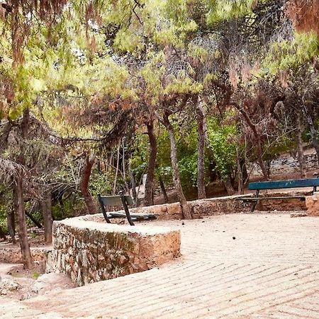 Myth1 Hike Around Kalimarmaron, Panathinaic Stadium And Big Alsos Park Διαμέρισμα Αθήνα Εξωτερικό φωτογραφία