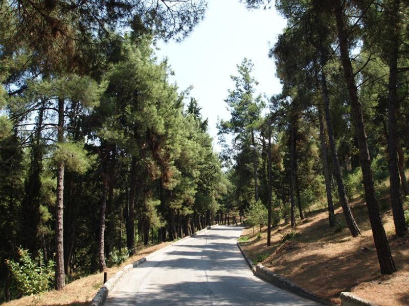 Myth1 Hike Around Kalimarmaron, Panathinaic Stadium And Big Alsos Park Διαμέρισμα Αθήνα Εξωτερικό φωτογραφία