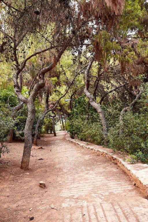 Myth1 Hike Around Kalimarmaron, Panathinaic Stadium And Big Alsos Park Διαμέρισμα Αθήνα Εξωτερικό φωτογραφία